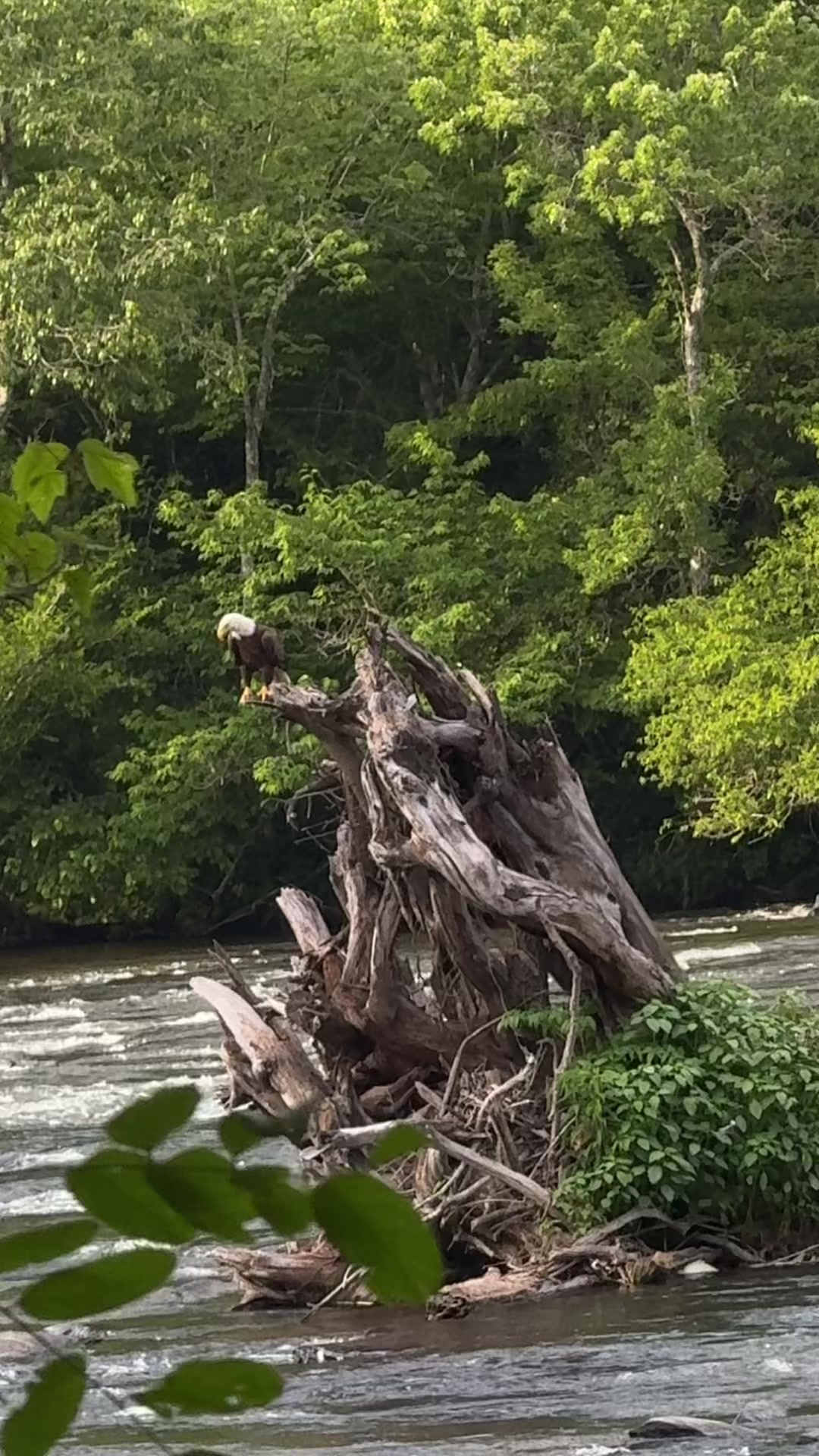 @Nantahala Outdoor Center