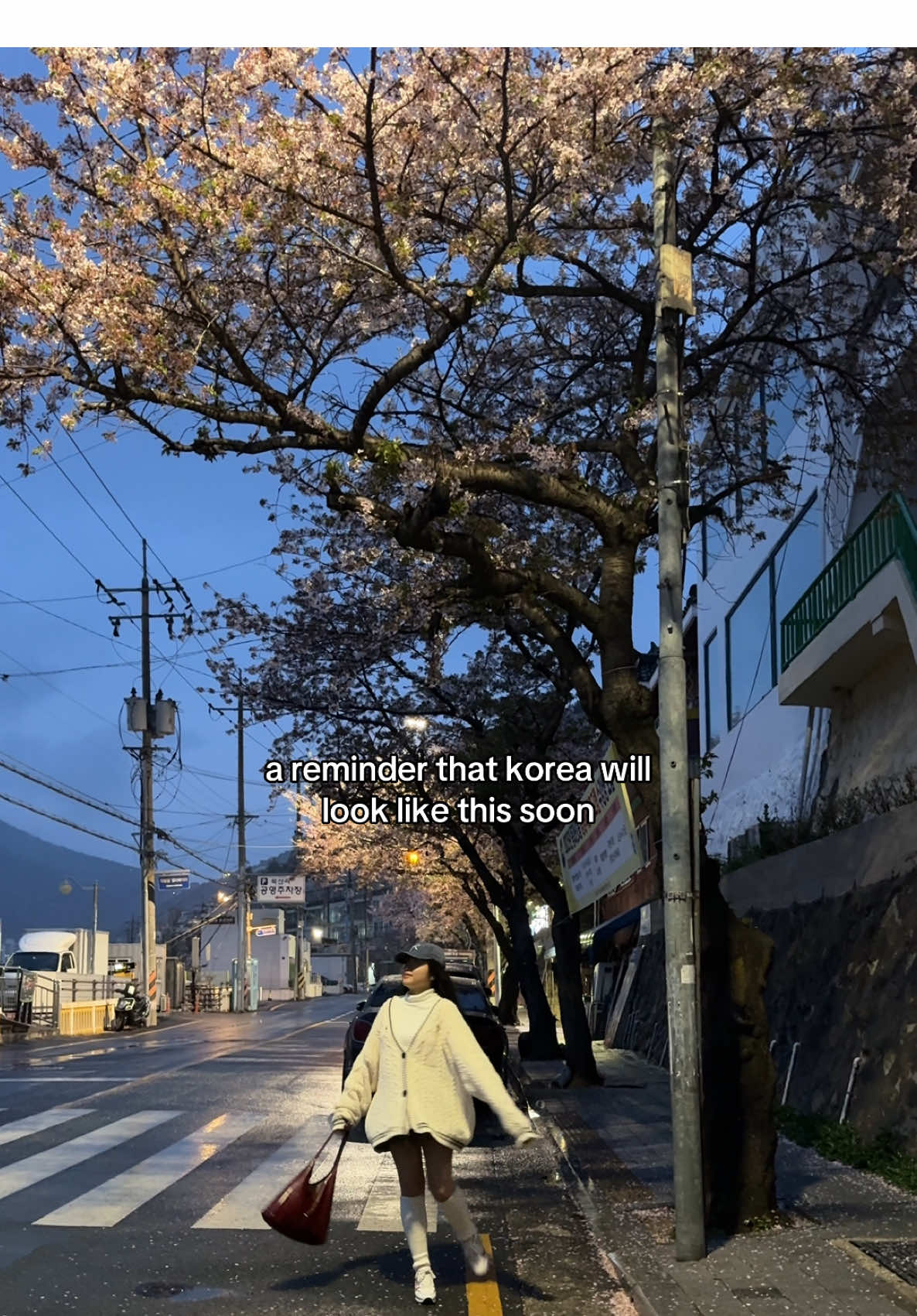 @xia ꣑ৎ