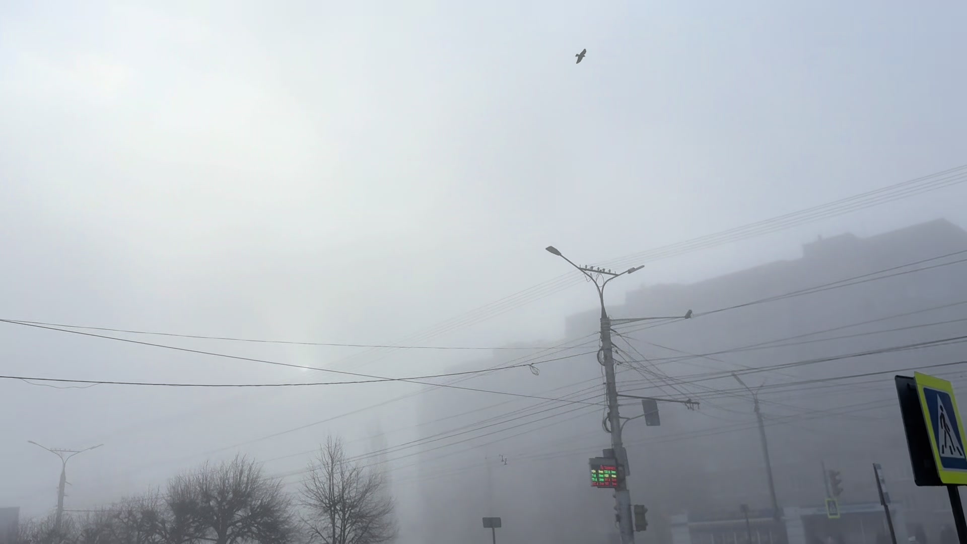@тг:твой покой