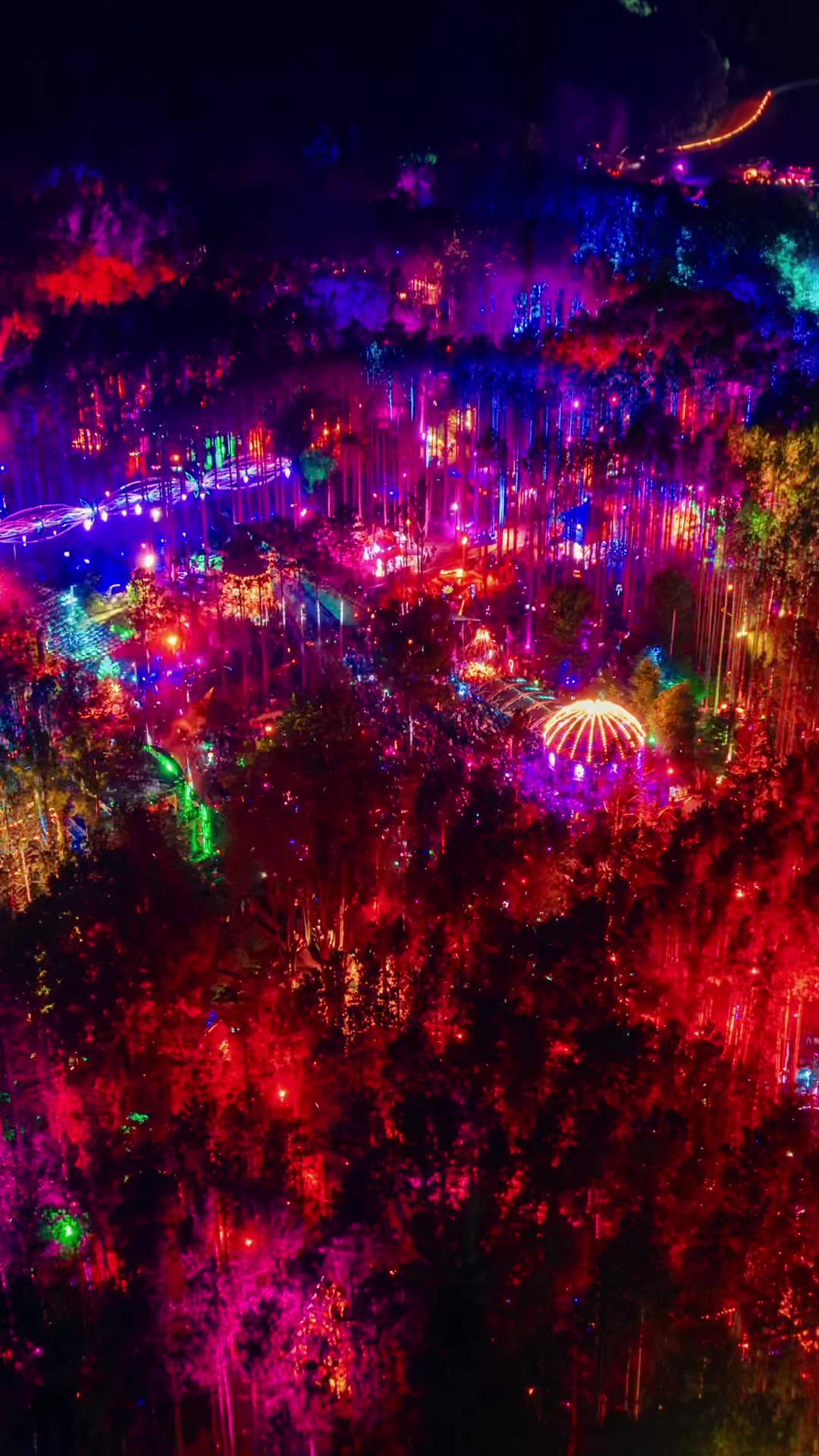 @Electric Forest