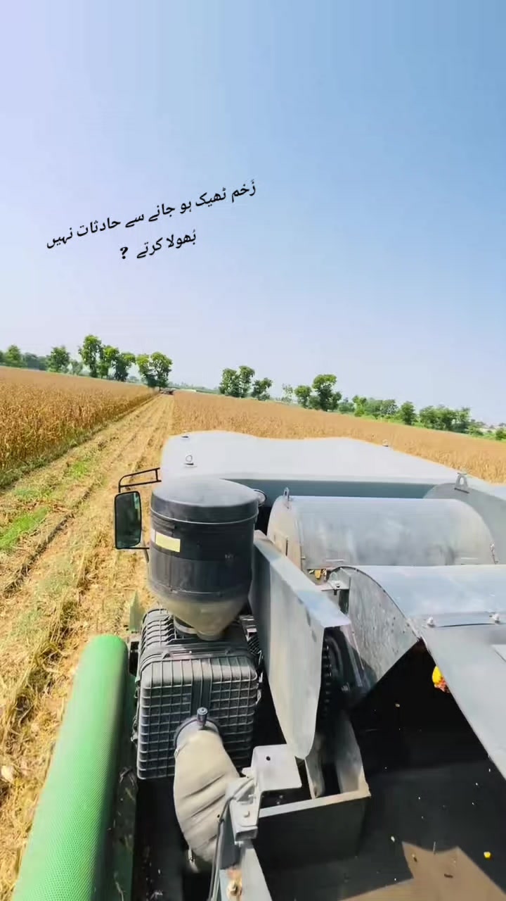 @💚 ذیشان ہنجرا 💚