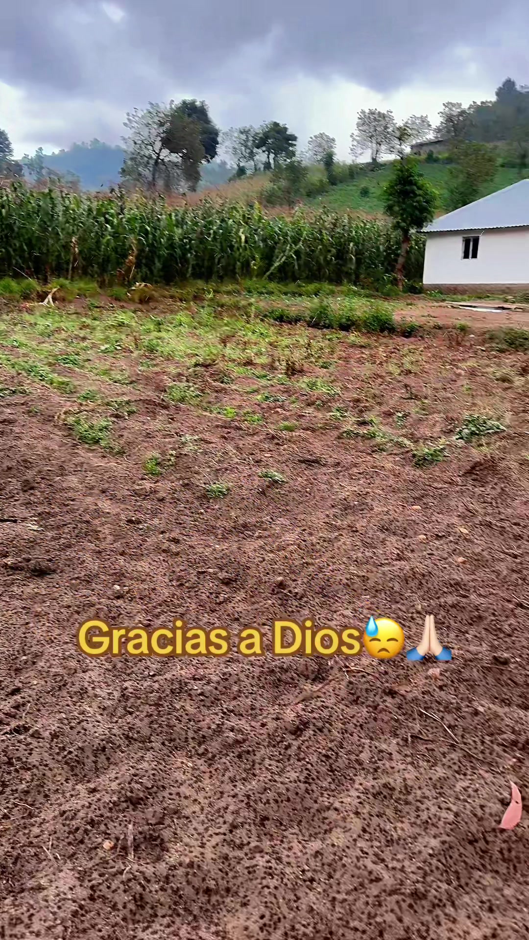 @❤️@LRDOUGLAS@❤️
