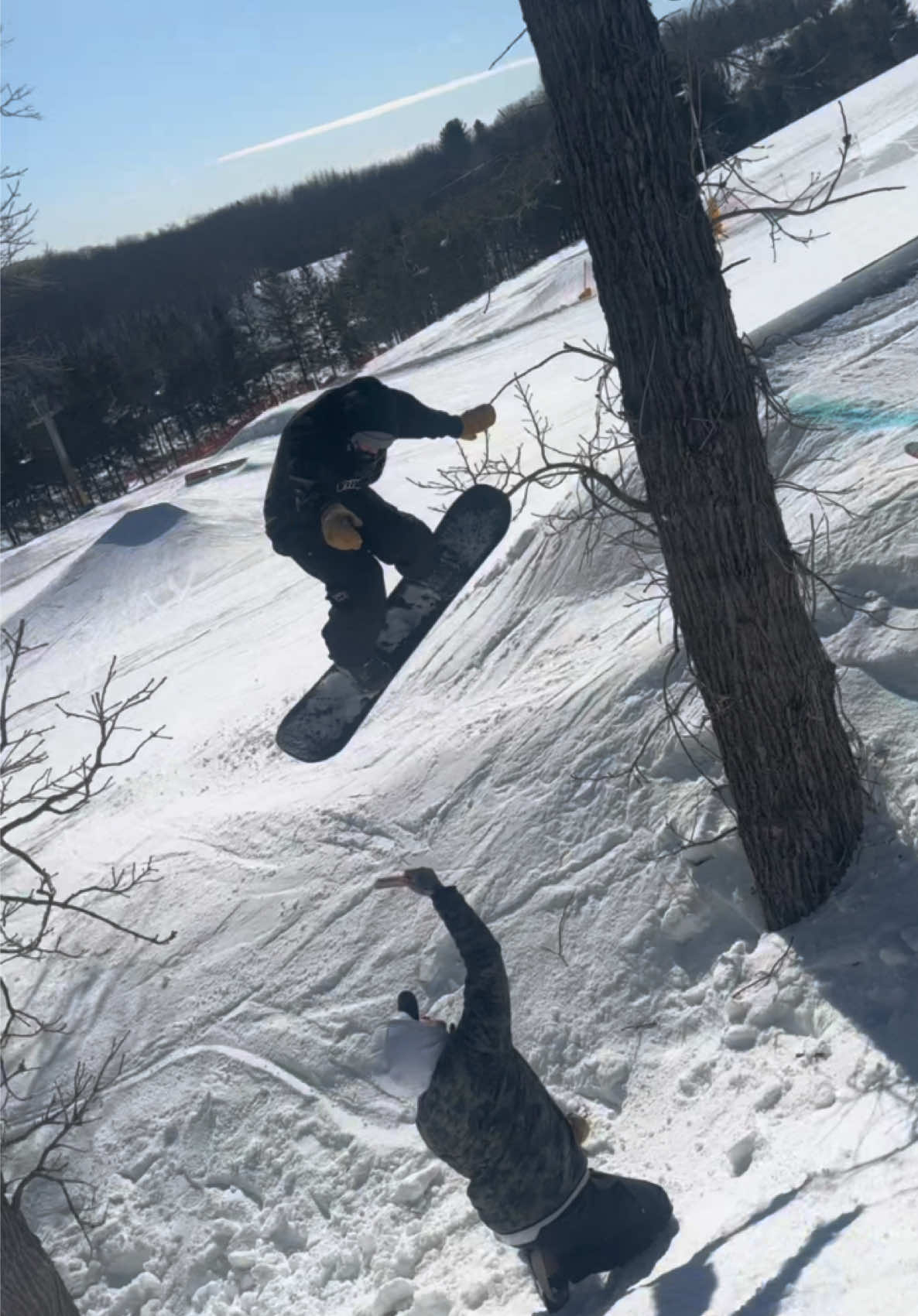 @Shredits