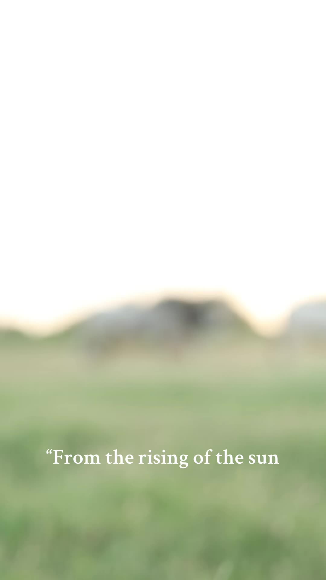 @England Cattle Co.