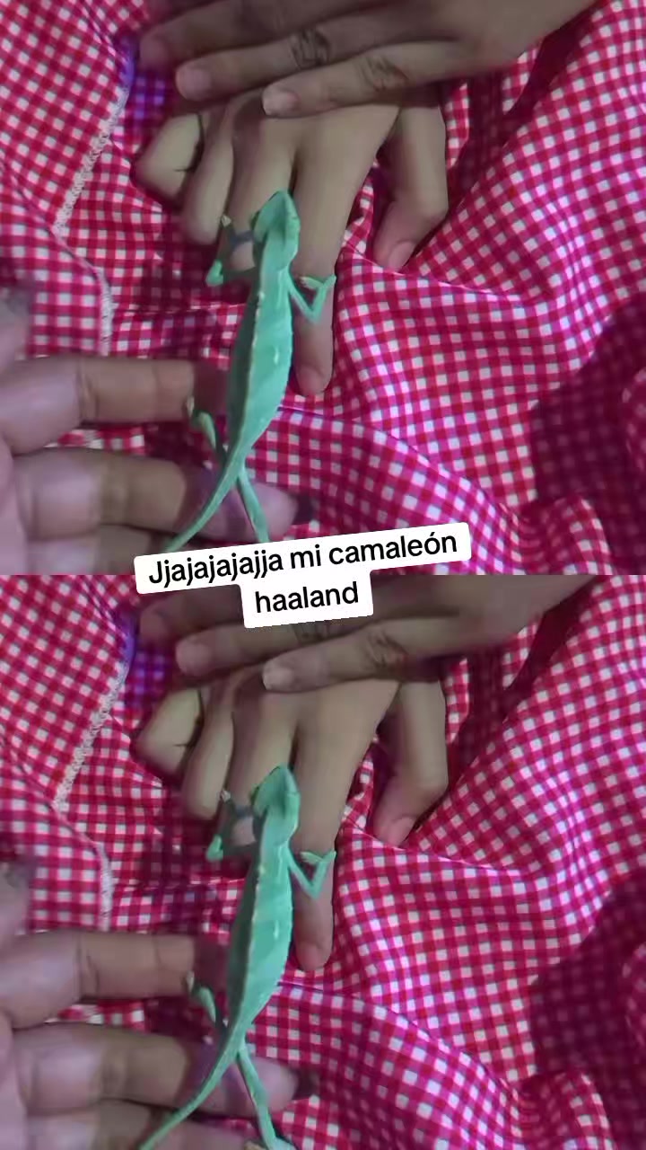 @Michi katyblox