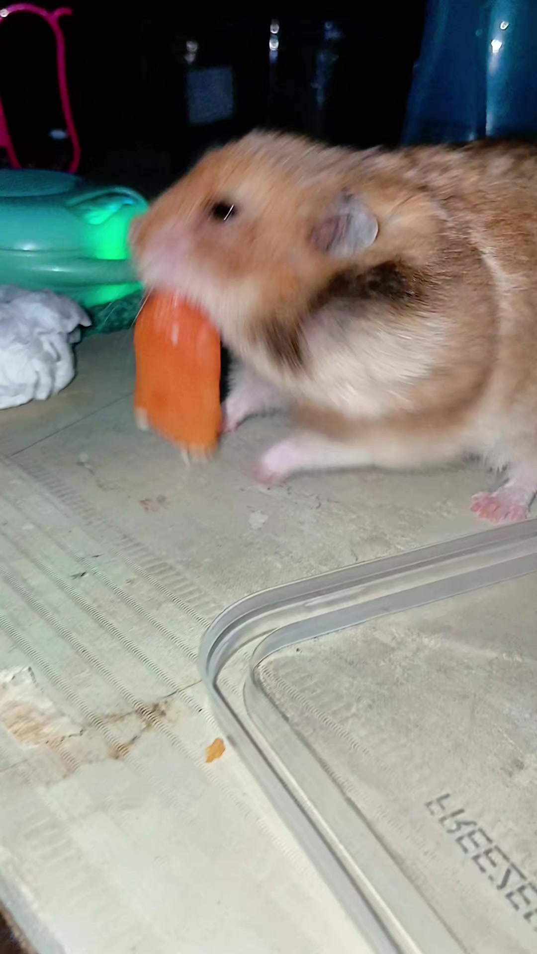@Pikaaaduuttt