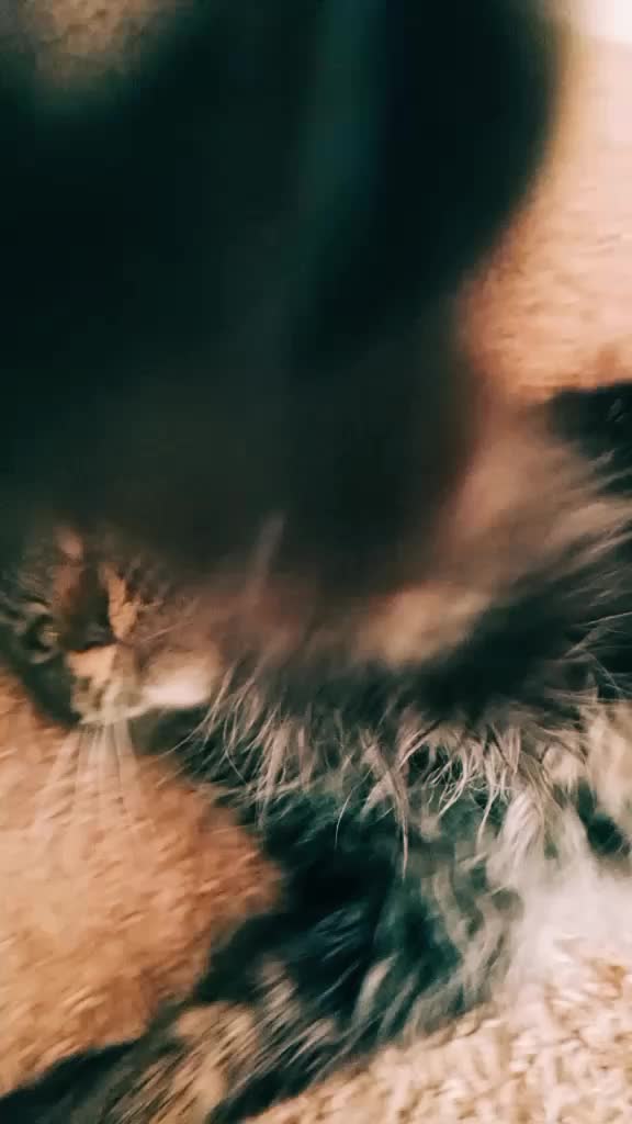 @Юлия ❤❤❤🌹24рег, 🤟Сибирь