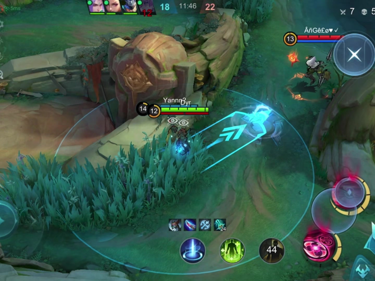 @Dyr