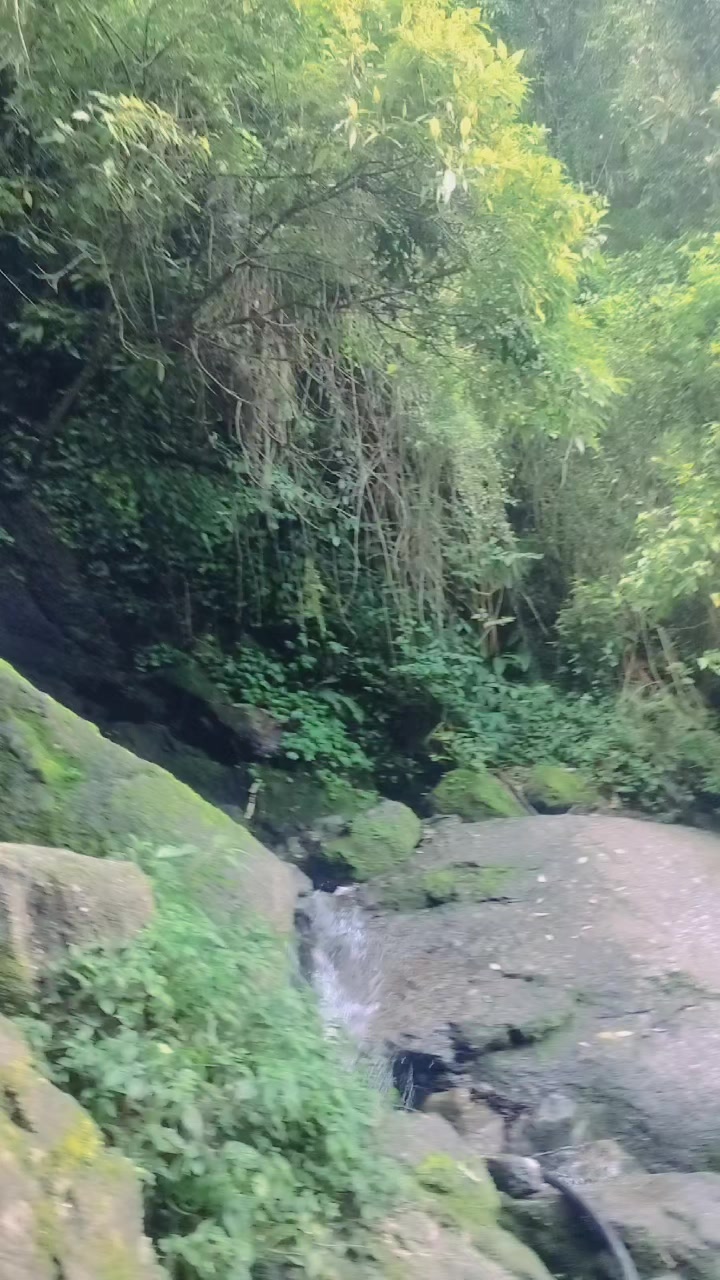 @bimala