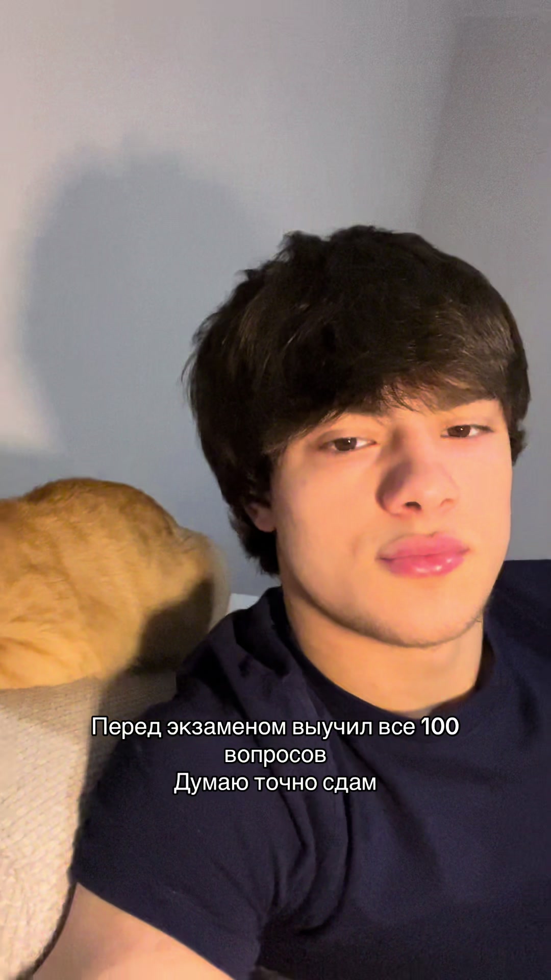 @тгк: naz3l3nom