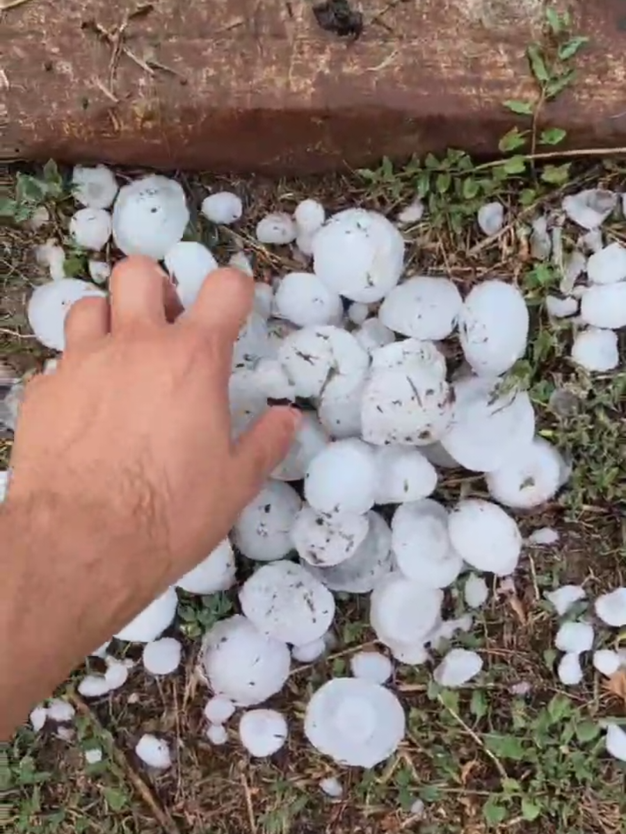 @Weather Insider