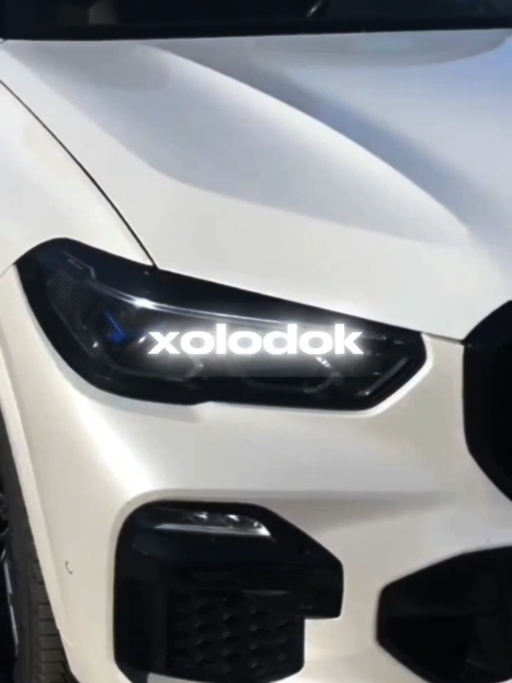 @Xolodok