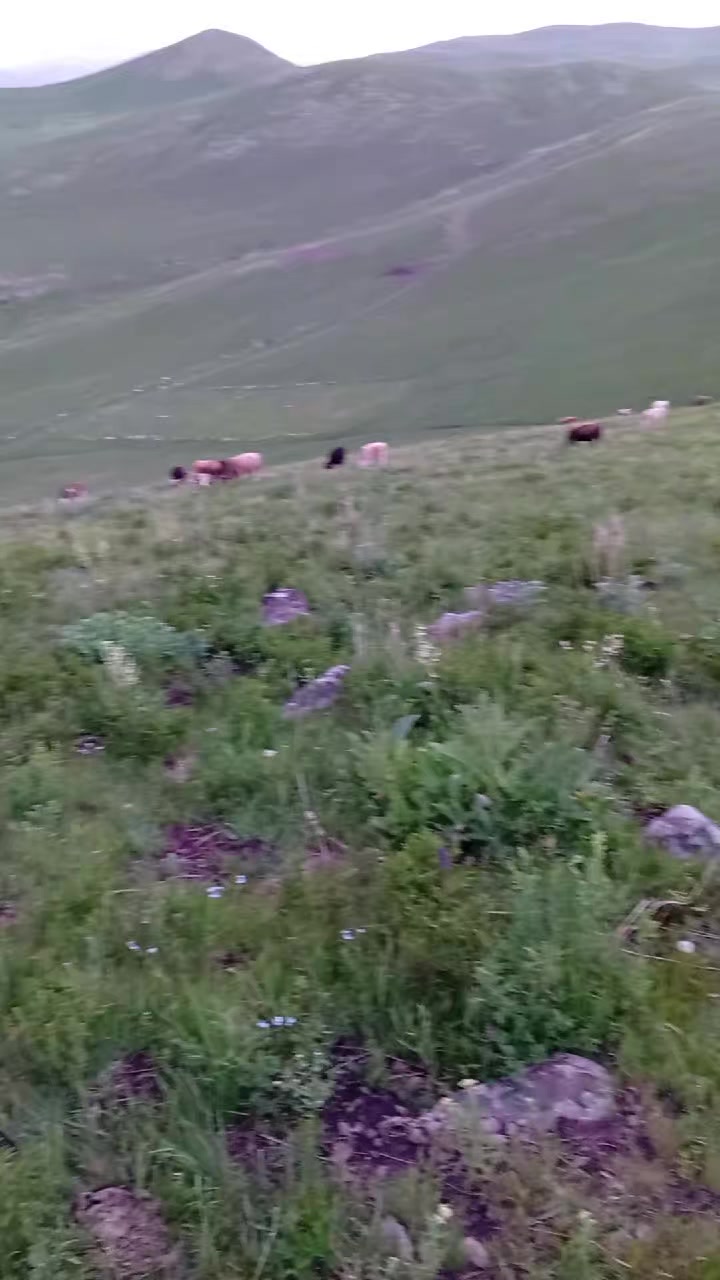 @Emre G&uuml;lmez