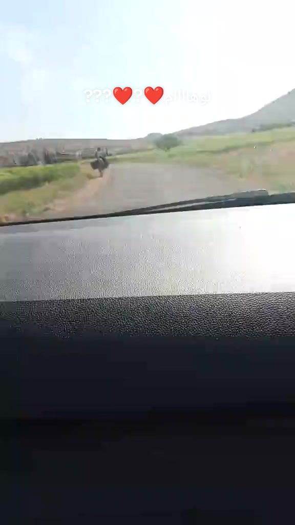@محہٰمد مسہٰكہٰيٰنيٰ
