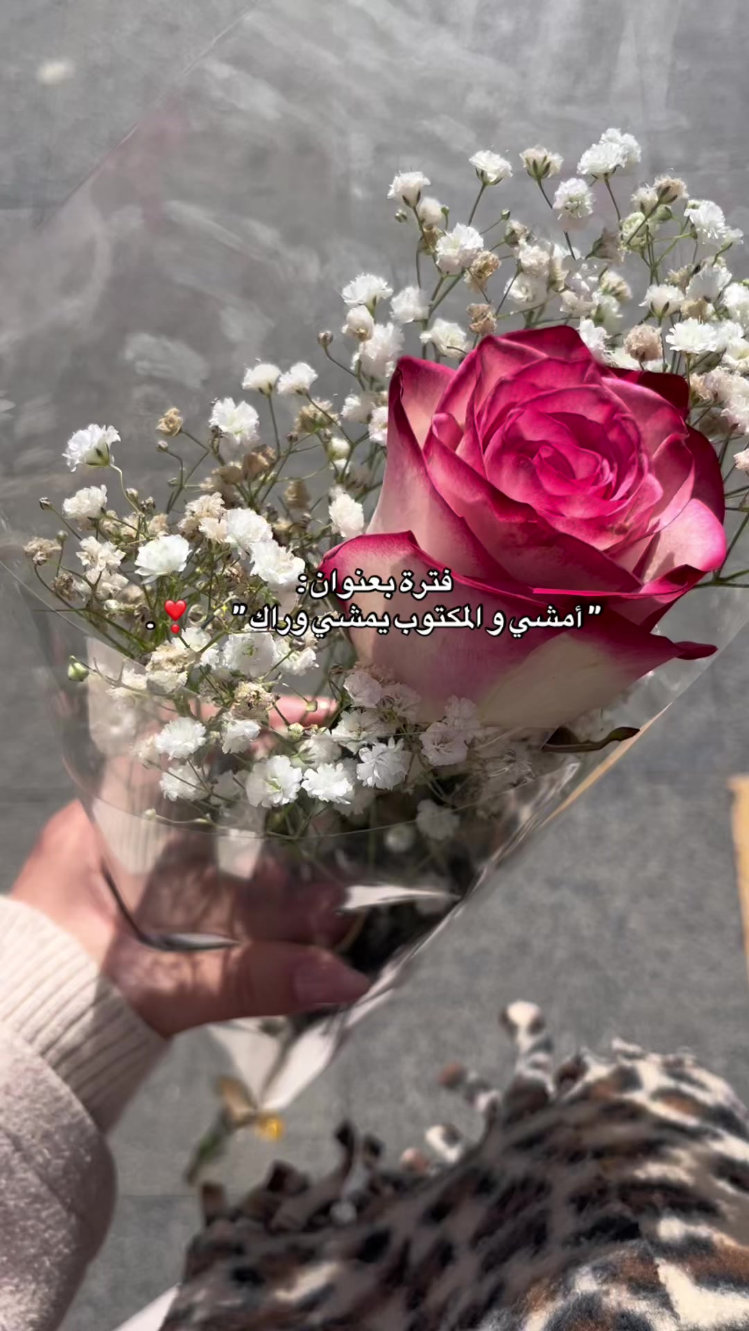 @marwa | مـَ🌙وة ✨