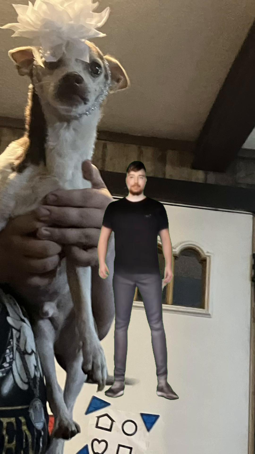 @WYSP0NCH0