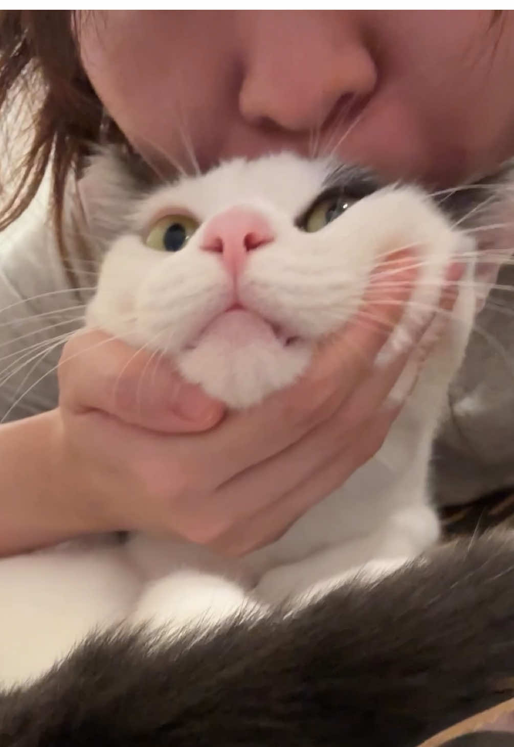 @Mimi Wawa Meow