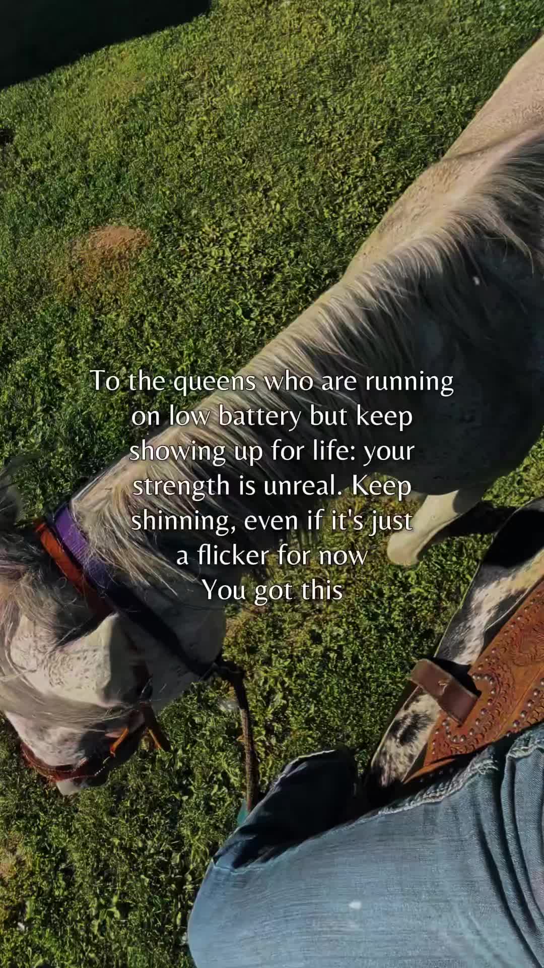 @RogueCowPonies