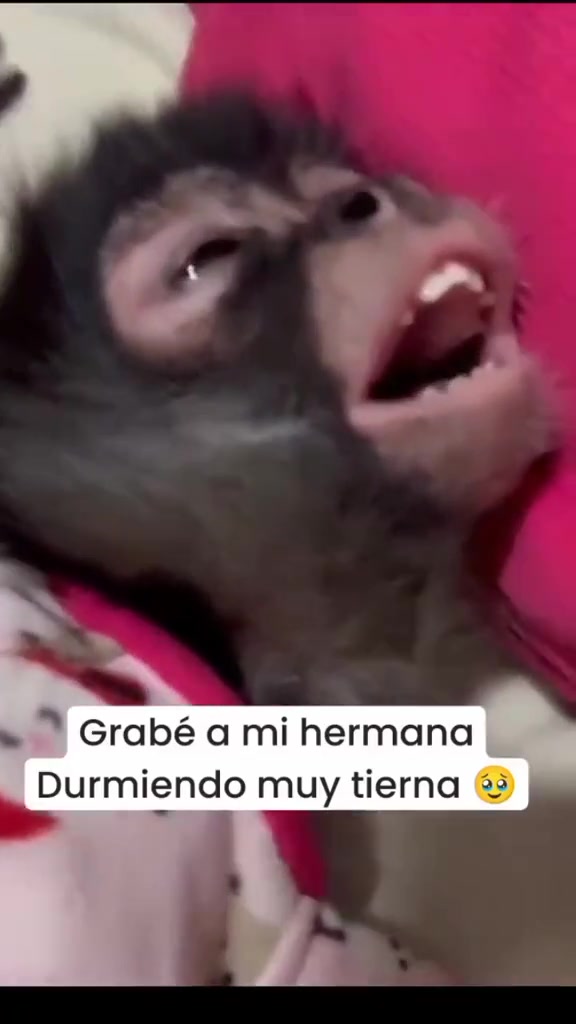 @Sandy Lara 