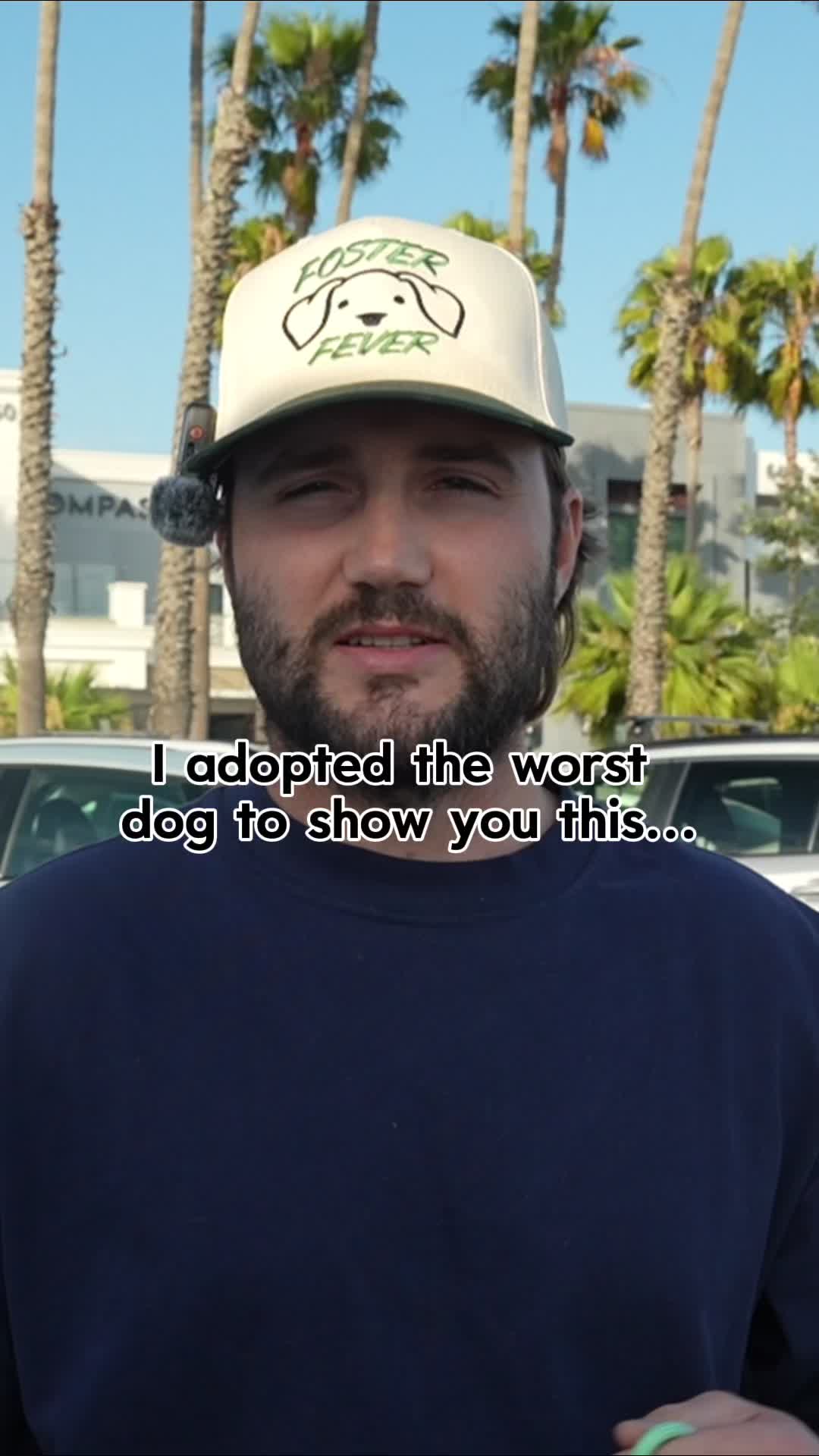 @forthedogs