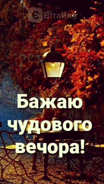 @꧁Svitlana꧂