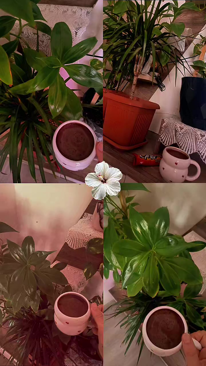@💎أميـࢪة بأخـ☆ـلاقـي🪞