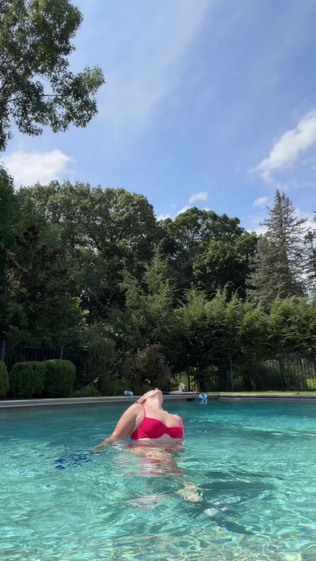 @sheabutta