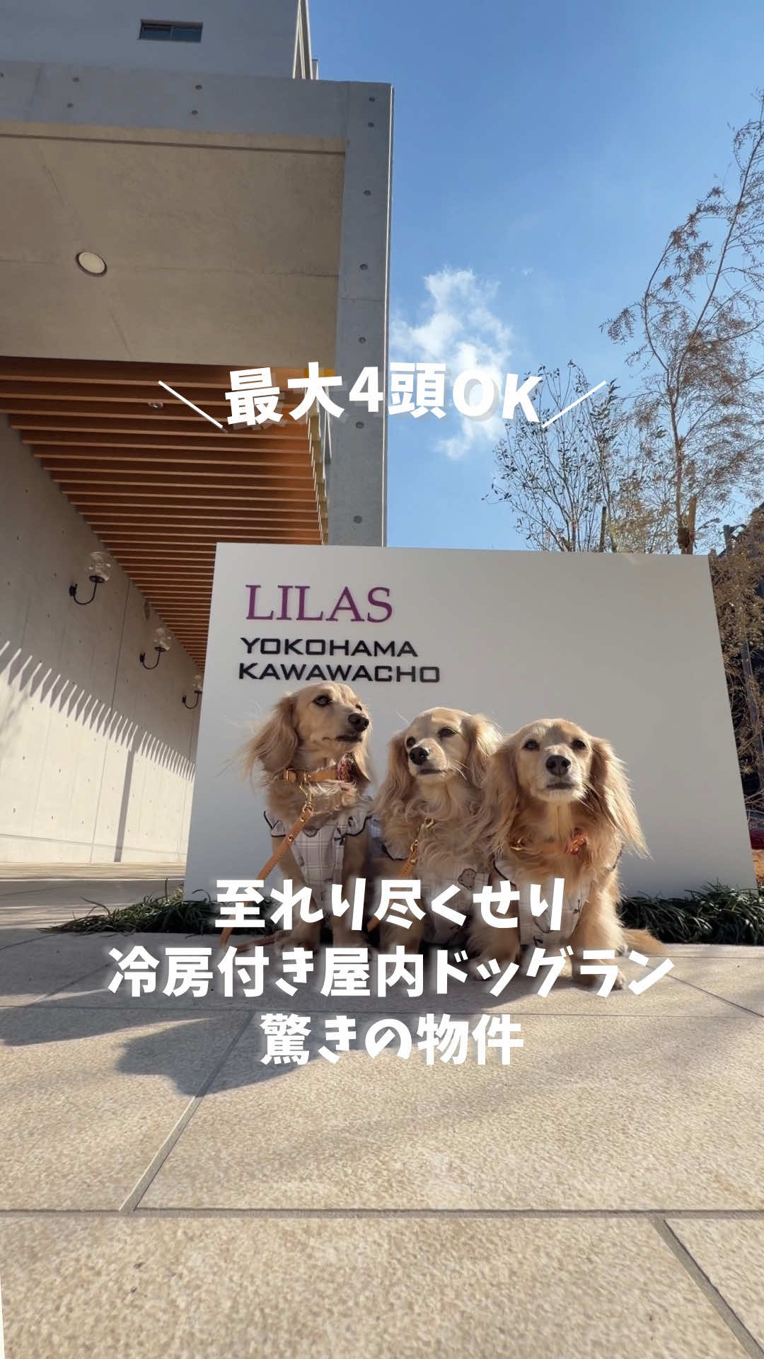 @🎀もあらなまぅ🎀