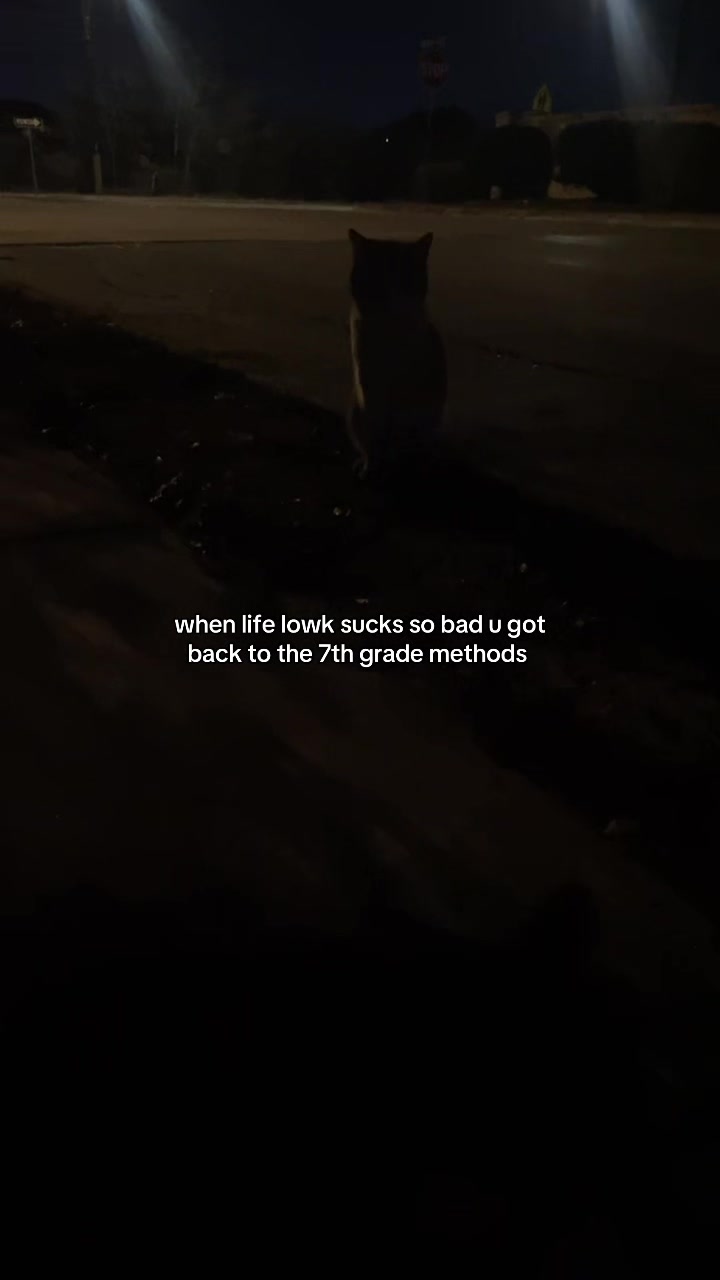 @vince