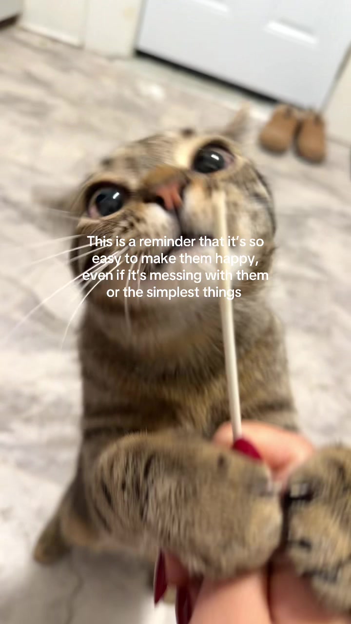 @The Three Fatties