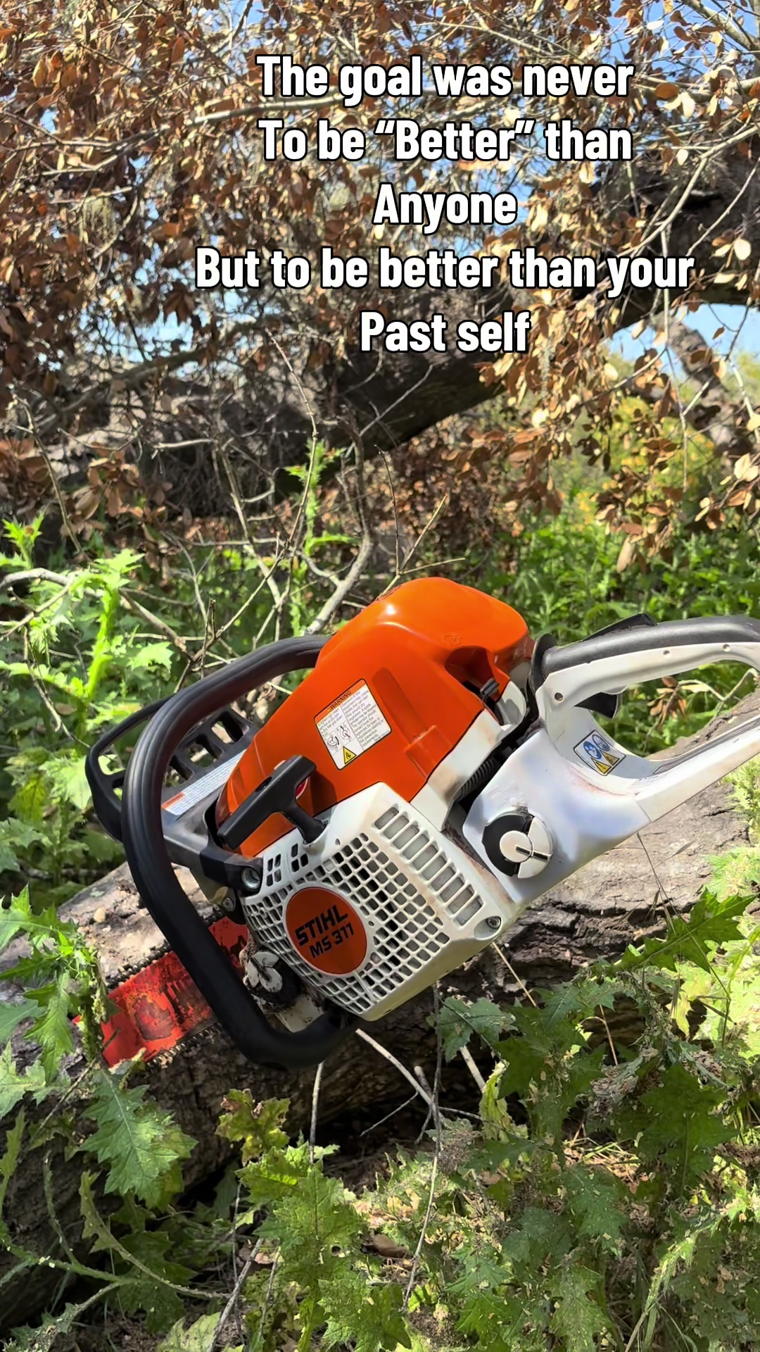 @Rh Fire wood