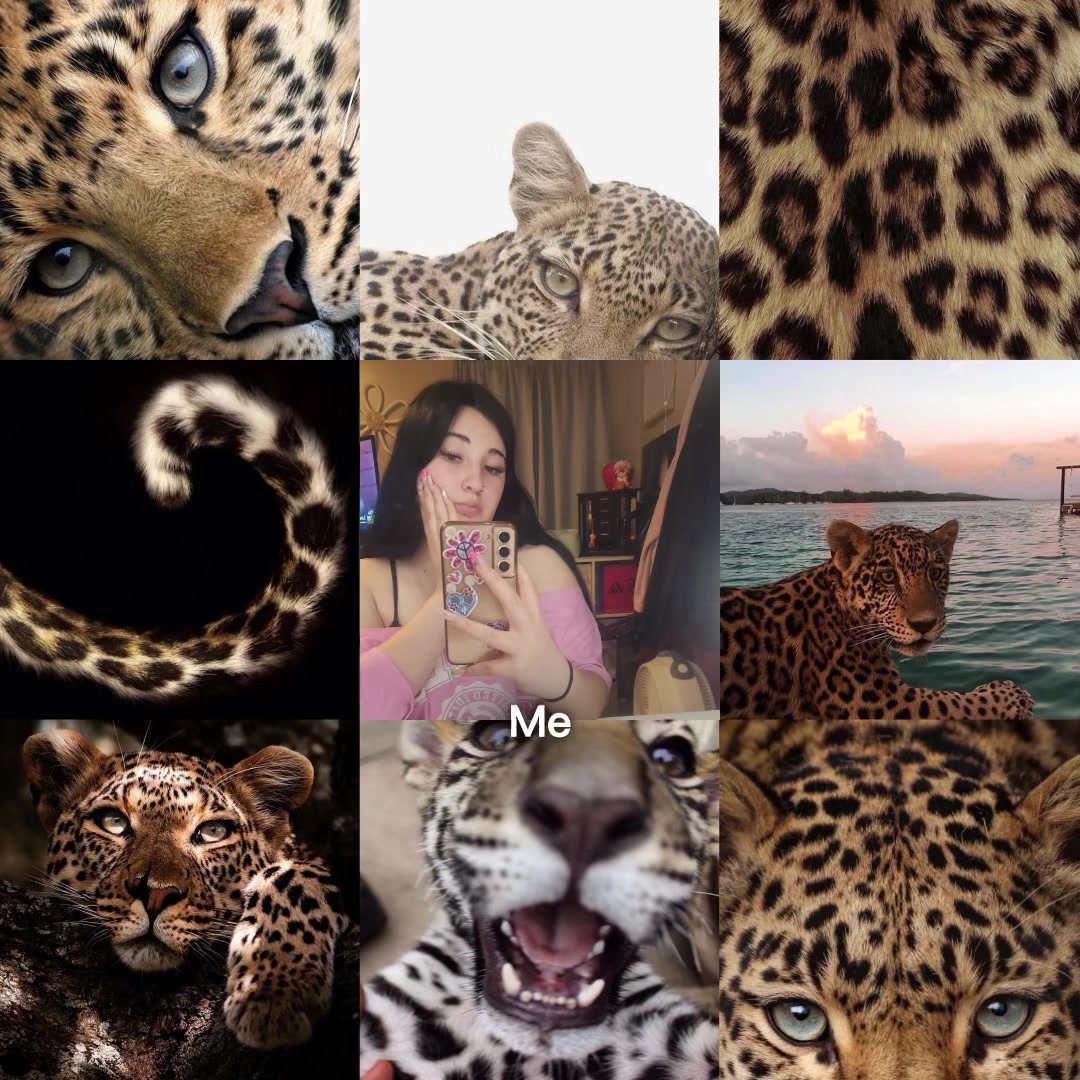 @Kaelyn🐆