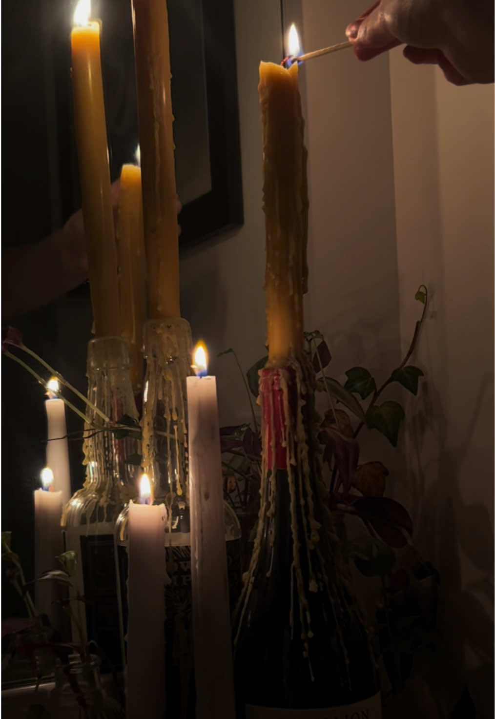 @candlecountess