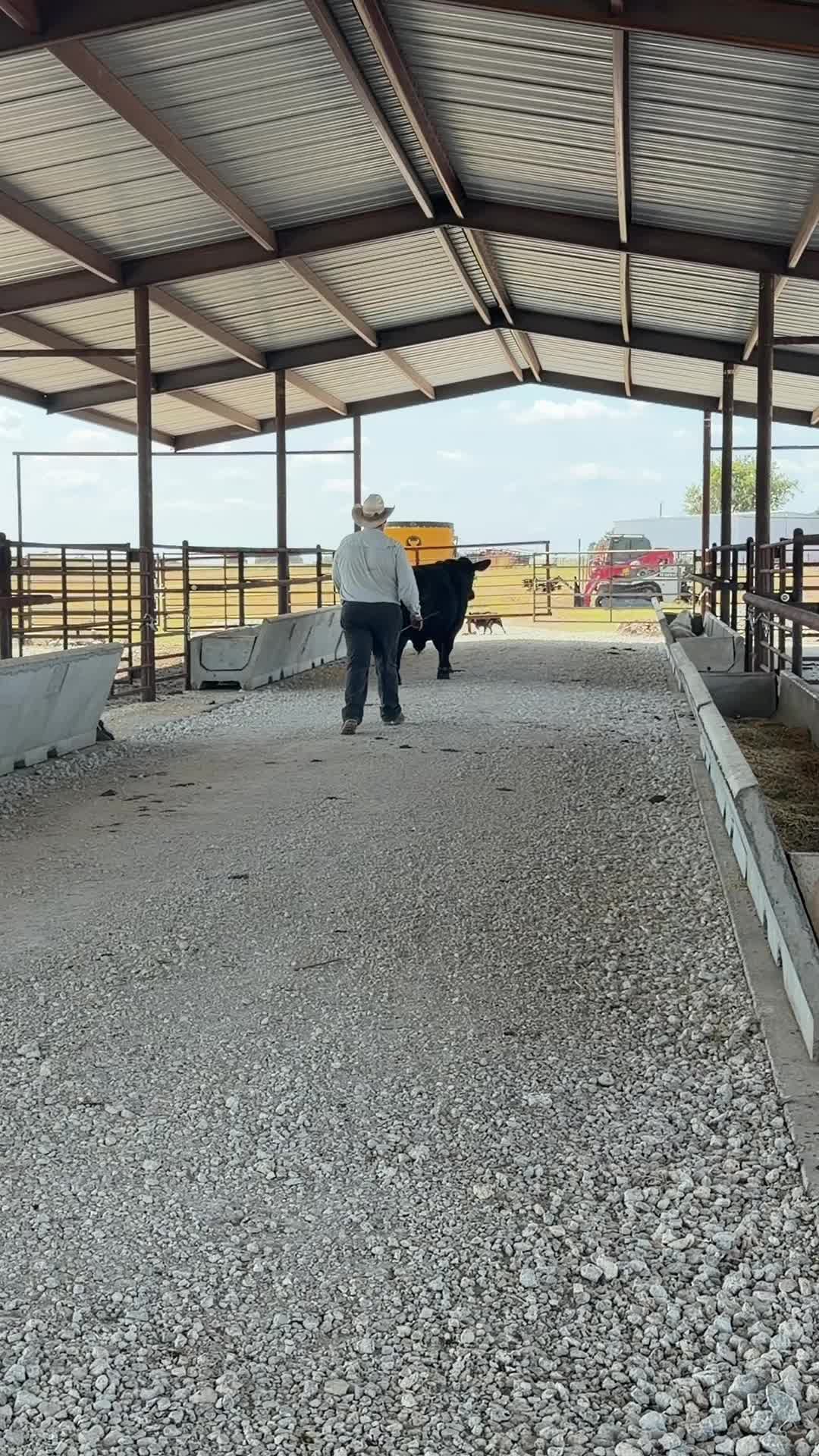 @Bar 7 Ranch