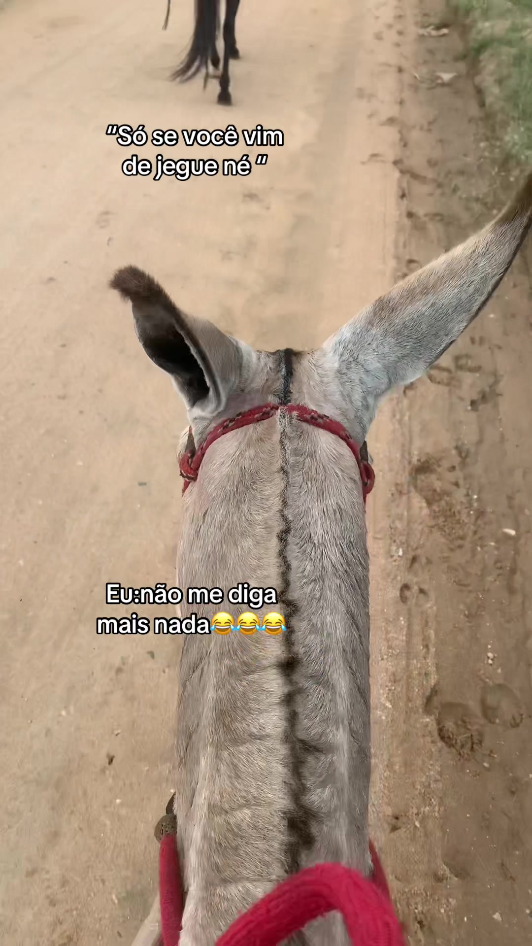 @๐๐ฅ๐ข๐๐ง๐๏ฃฟ