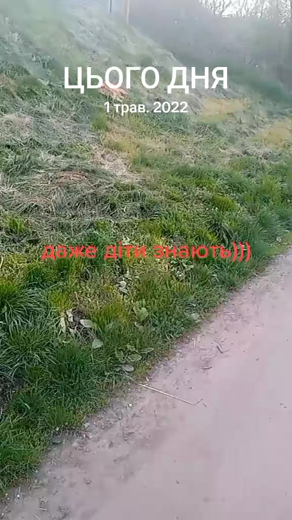 @IRON MAN🫡💪🇺🇦