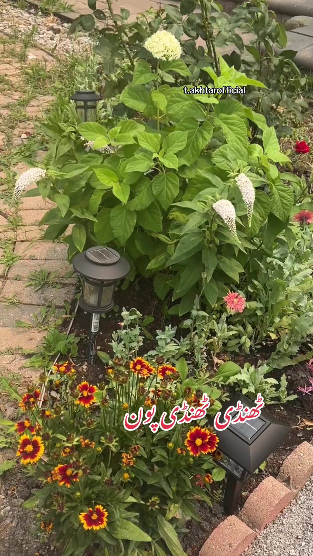 @T.Akhtar Official