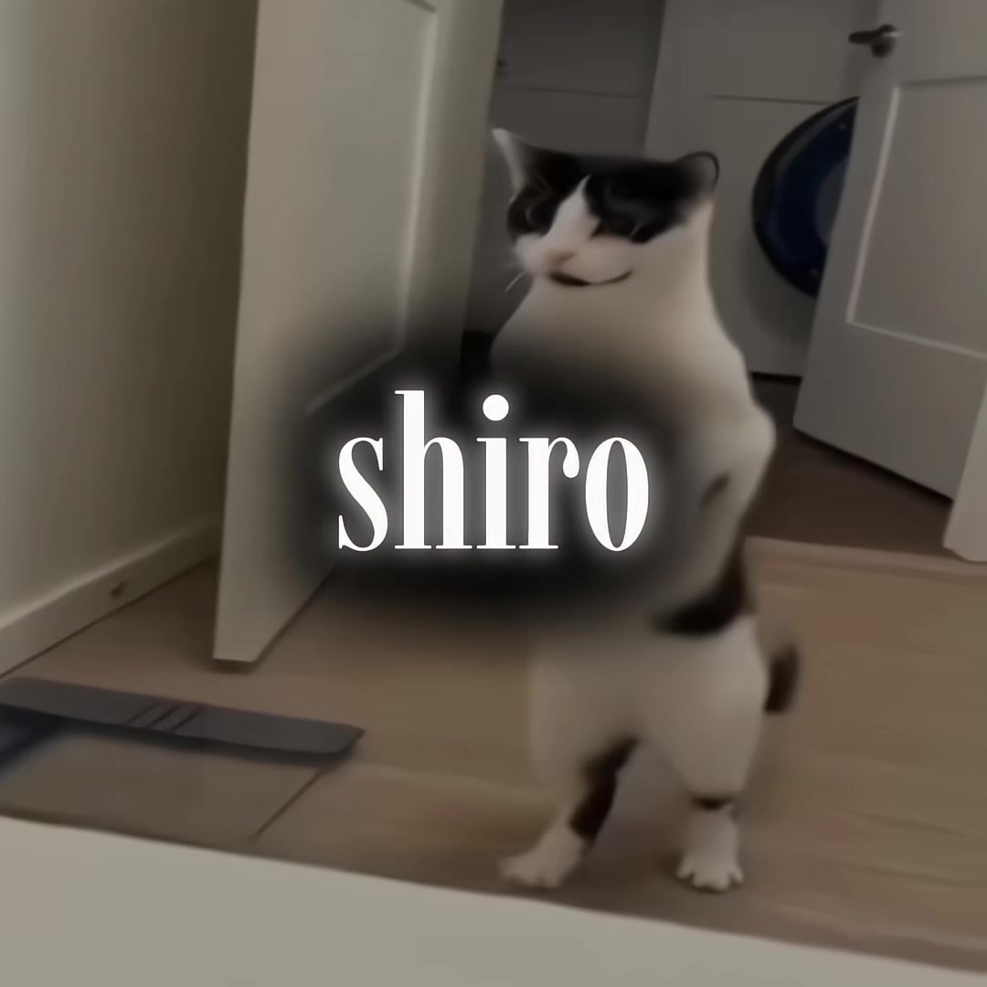 @shiro