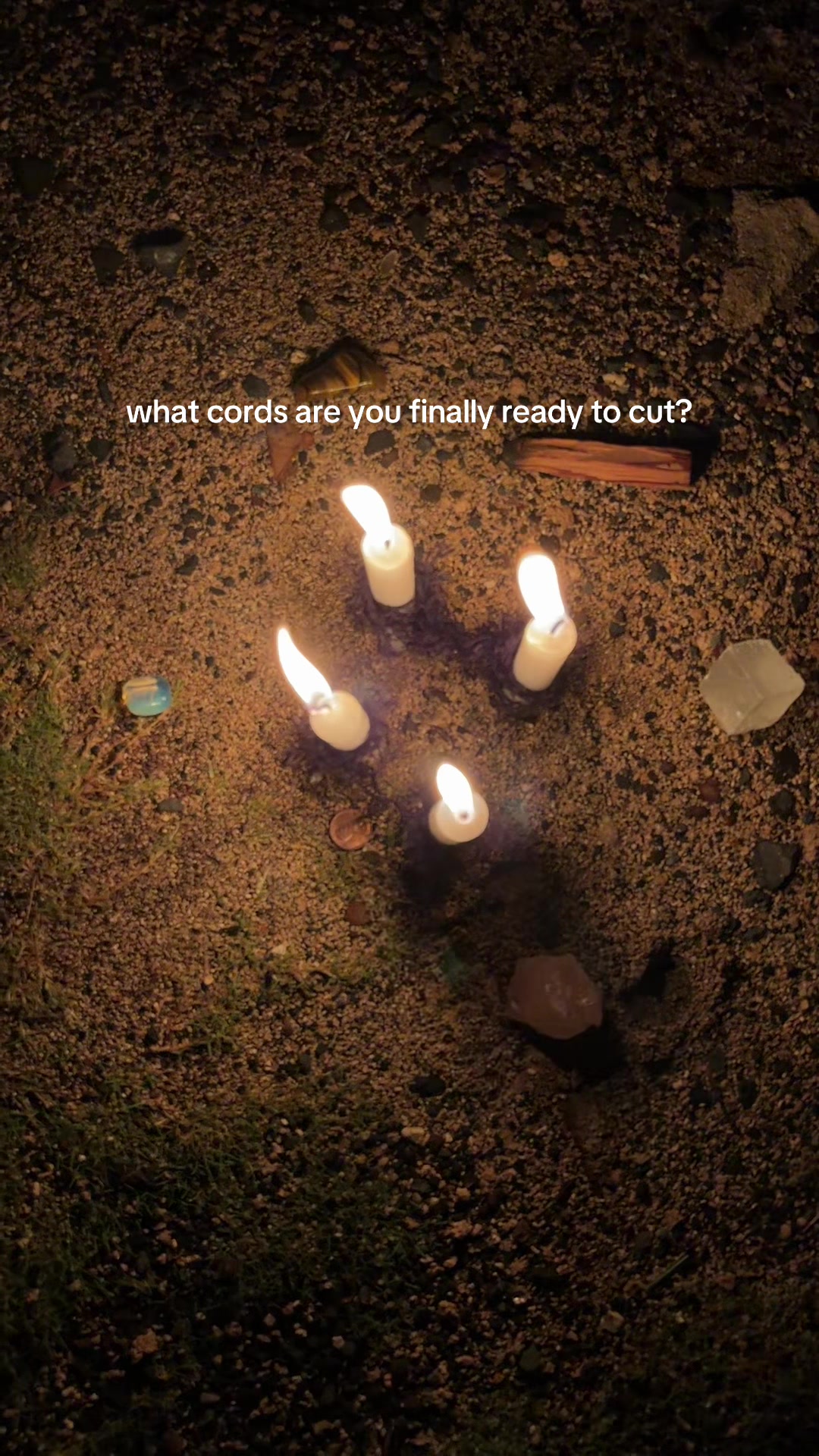 @morganmary🌿🦋🌙