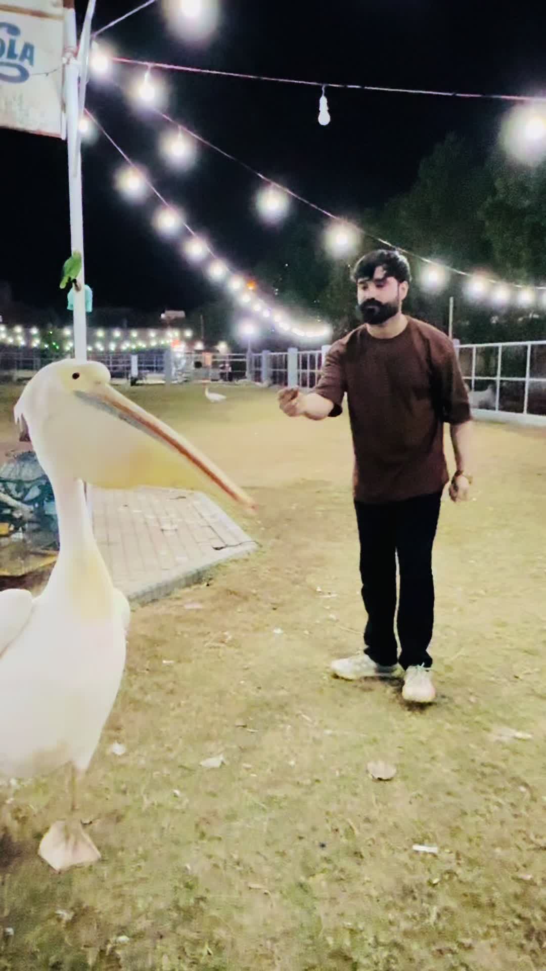 @SuFi Rasheed,,