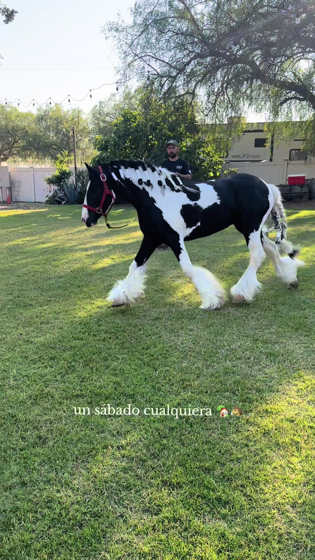 @Maribel Morales