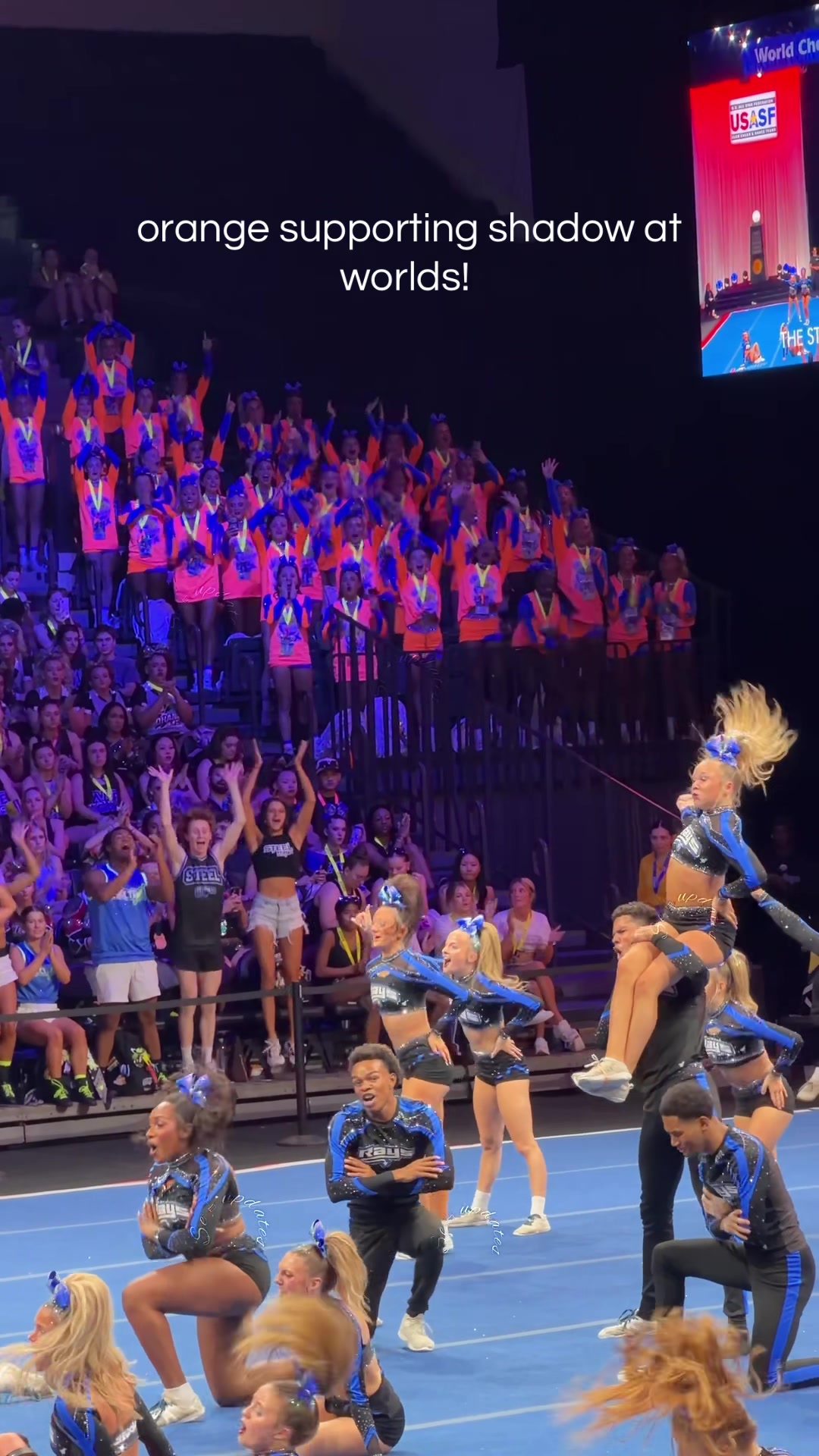 @senior elite