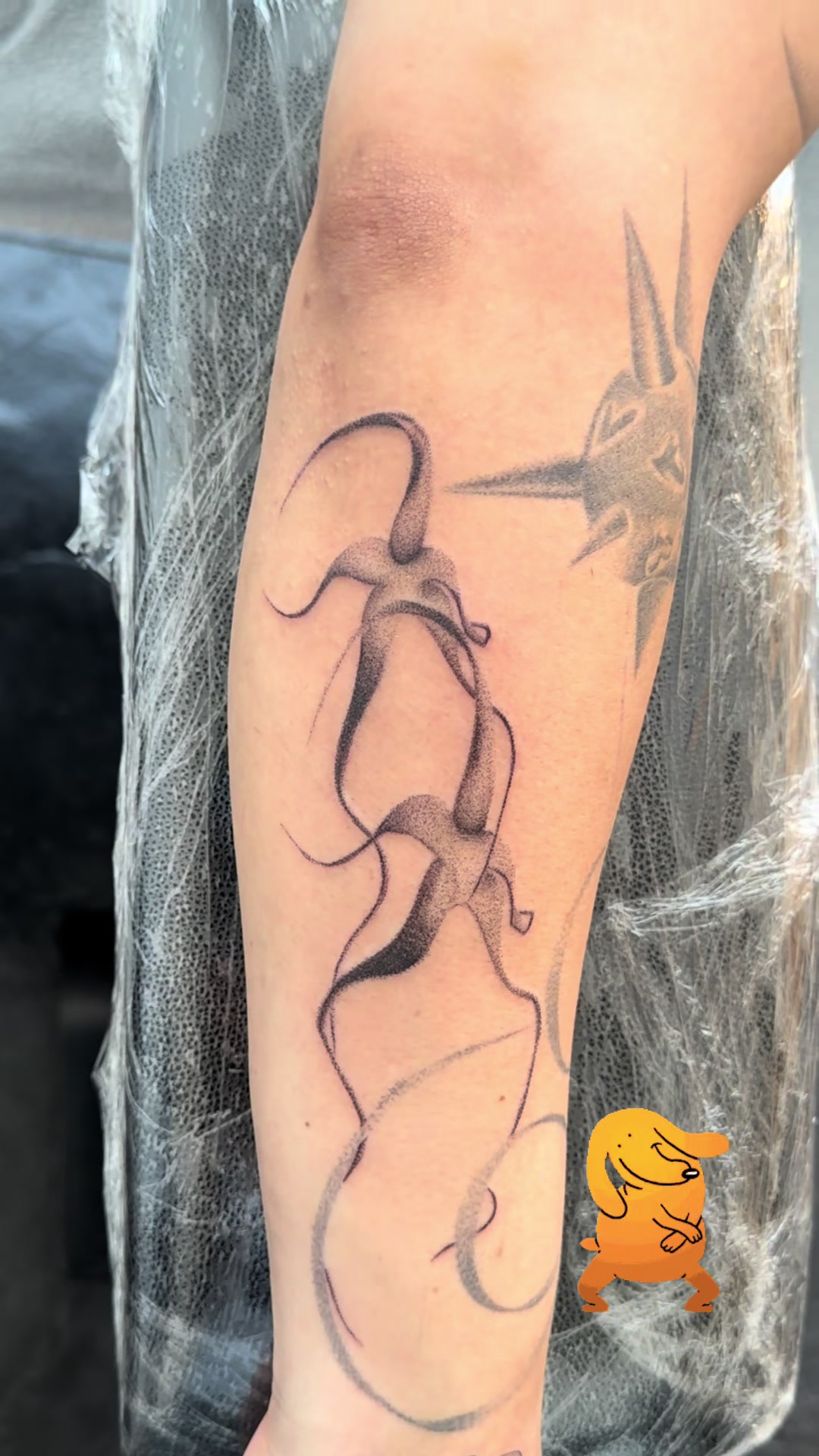 @1dollartattoos