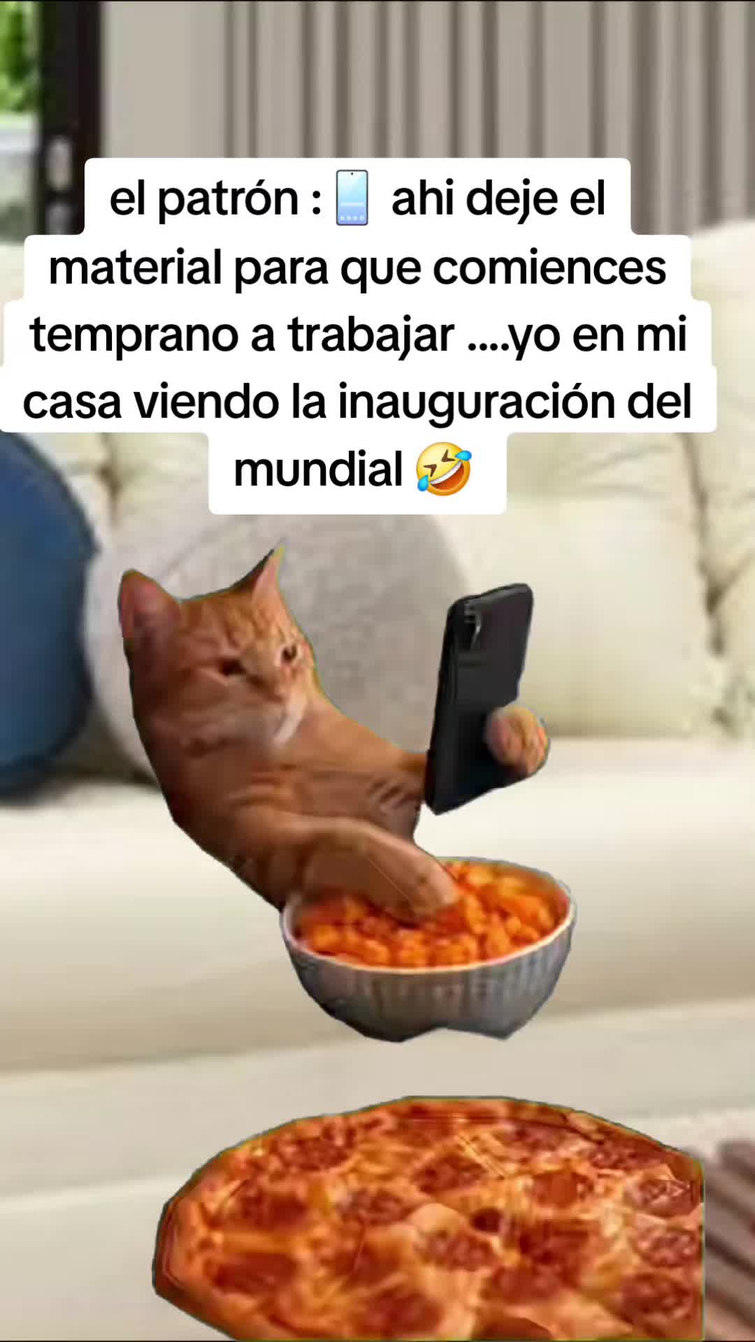 @G .. maldonado