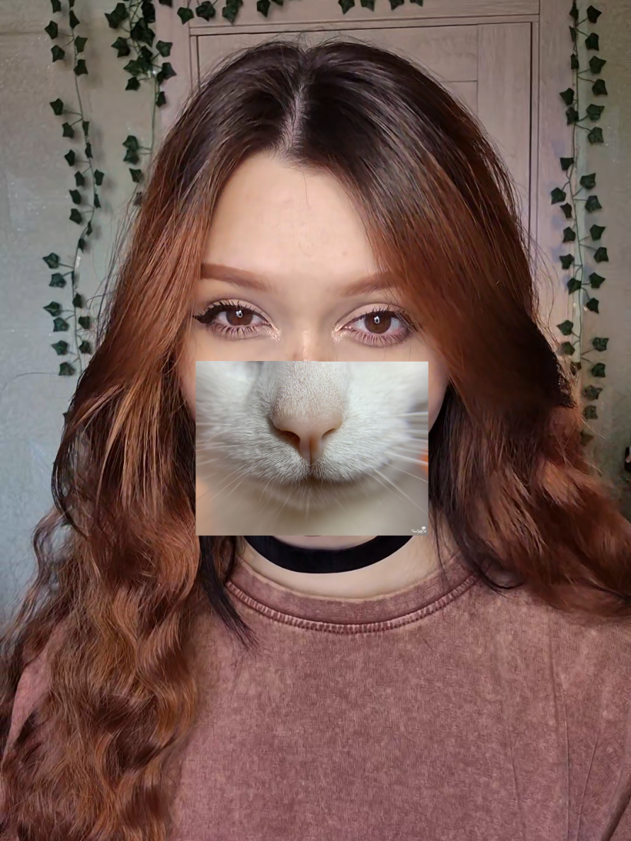 @yakorka