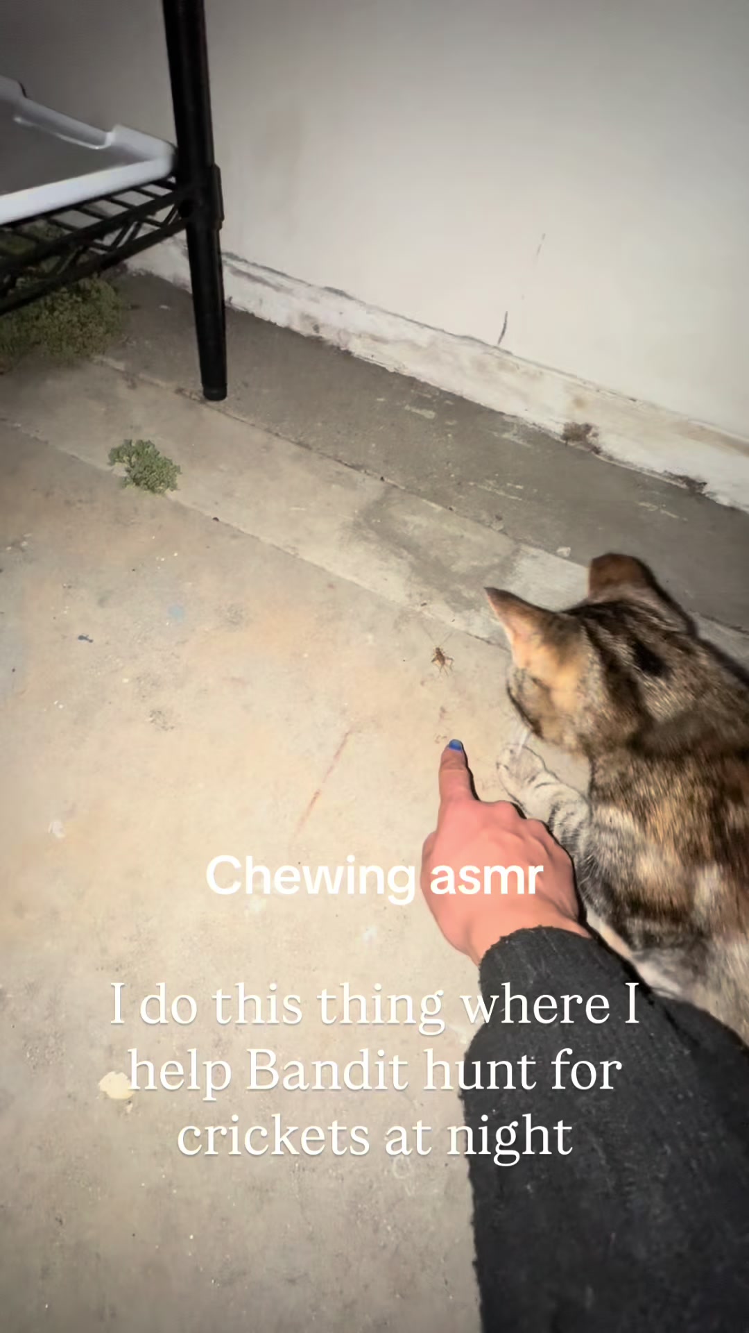 @Bieschu