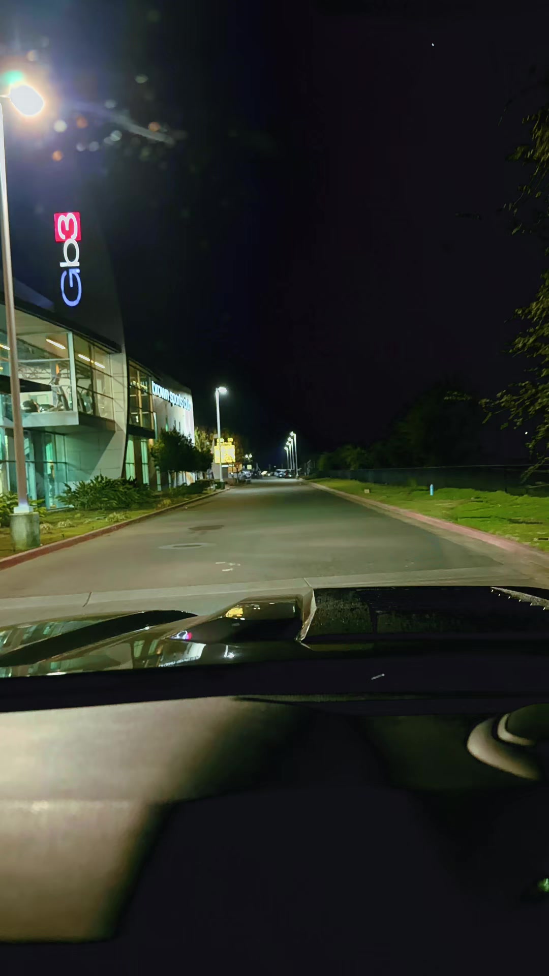 @559Viking