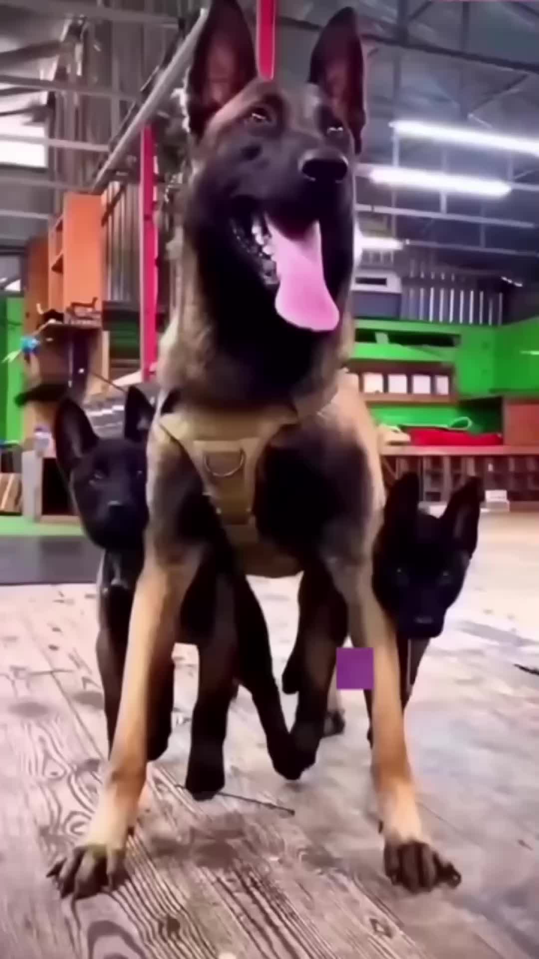@limitlessu18