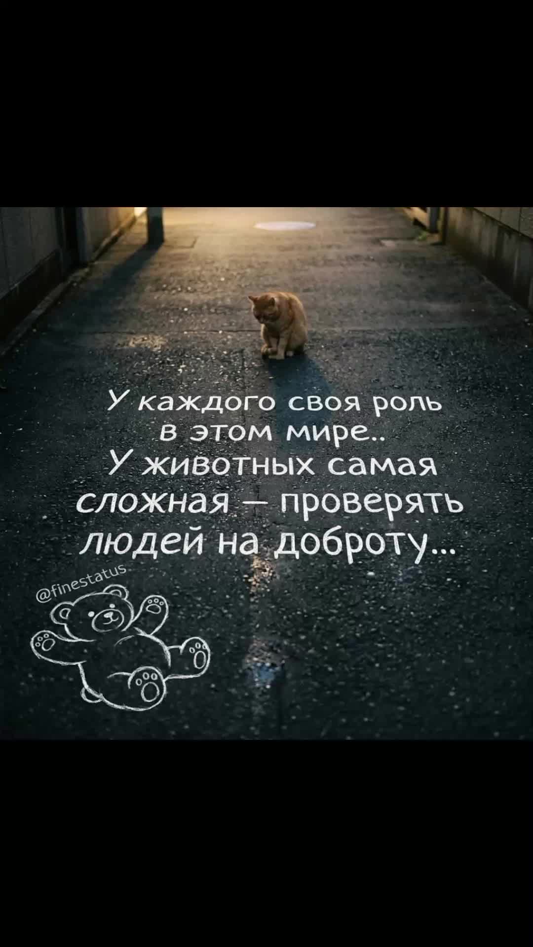 @статусы цитаты в картинках 🌹