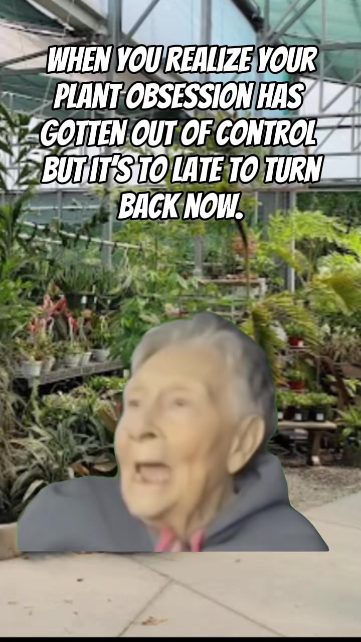 @Lynda Fletcher ๐